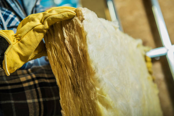 Types of Insulation We Offer in Eagle, ID