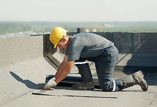 Best Specialized Insulation Services in Eagle, ID